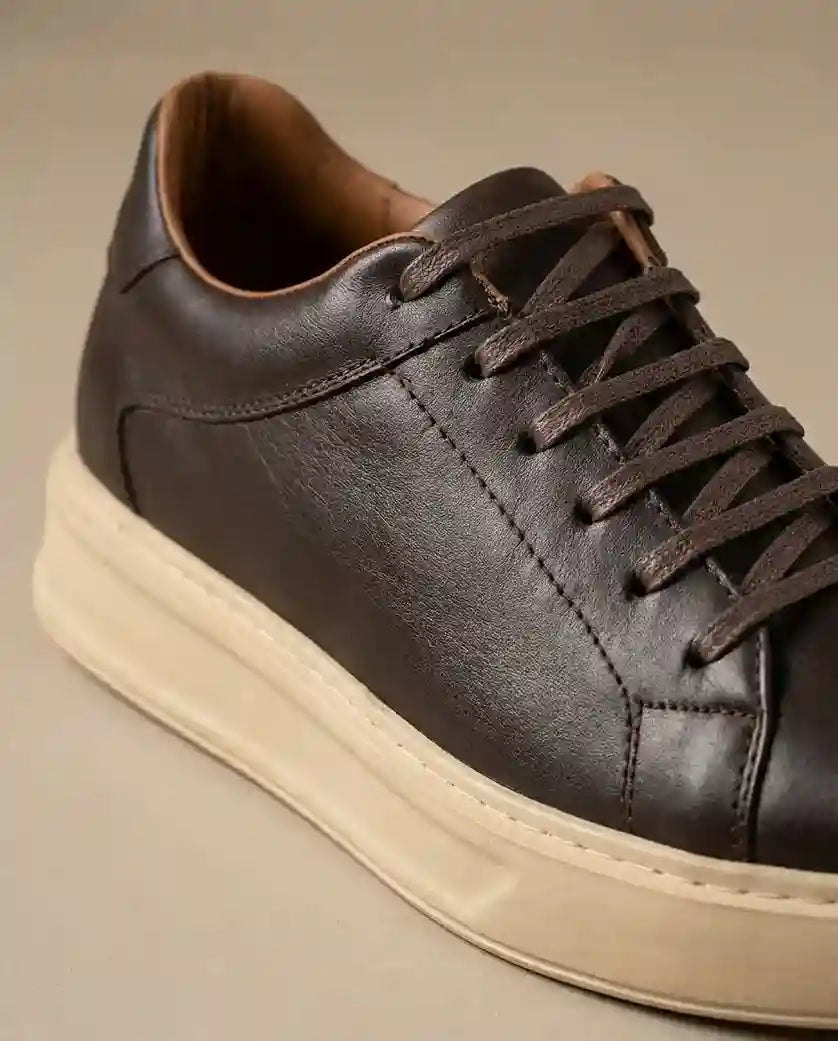 Moderna Brown Collection 2027, 100% Cuir Véritable